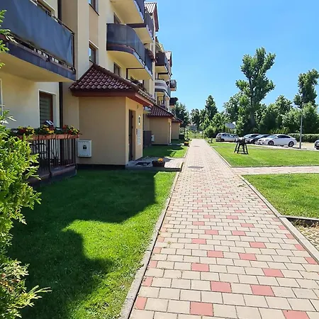 45m2 *